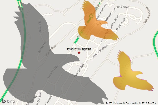 הרחקת יונים בנילי