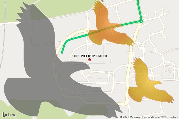 הרחקת יונים בנצר סרני