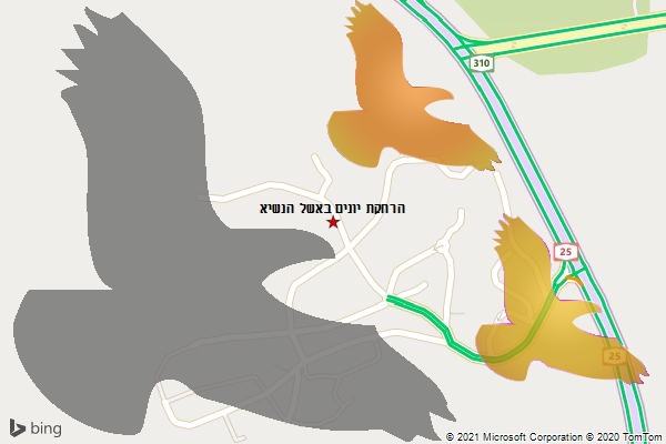 הרחקת יונים באשל הנשיא