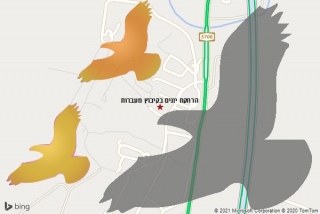 מרחיק יונים בקיבוץ מעברות - הרחקת יונים בקיבוץ מעברות