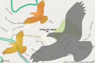 מרחיק יונים בציפורי - הרחקת יונים בציפורי