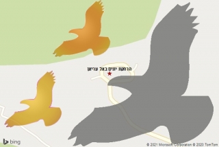  באל עריאן - הרחקת יונים באל עריאן