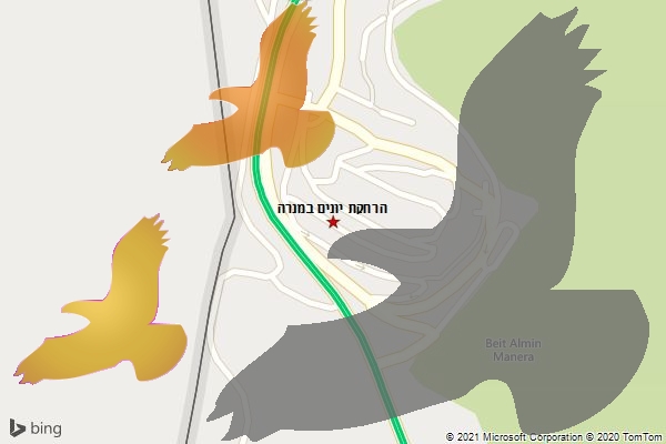 הרחקת יונים במנרה