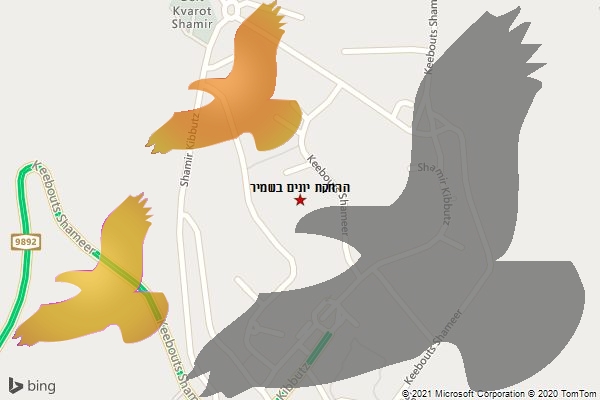 הרחקת יונים בשמיר