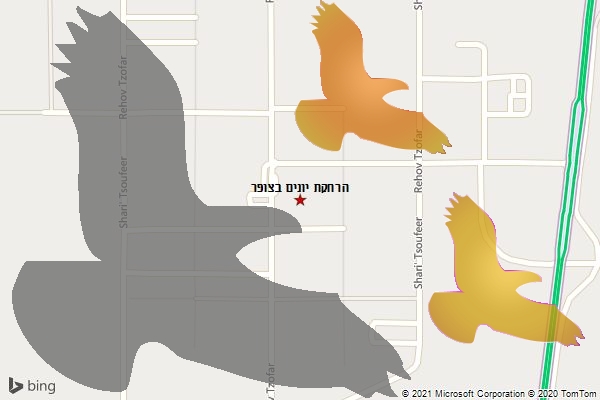 הרחקת יונים בצופר