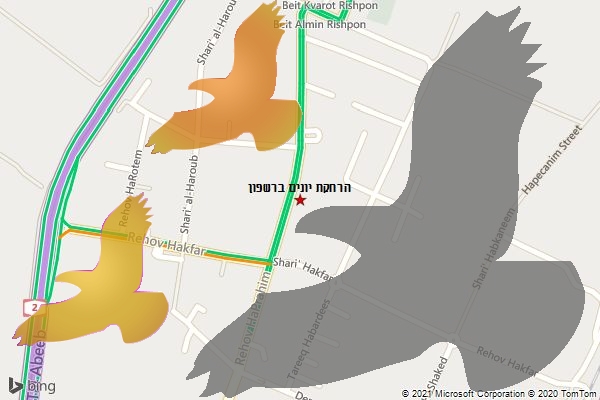 הרחקת יונים ברשפון