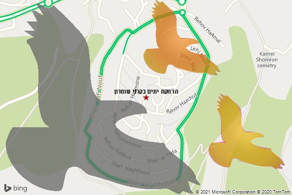 הרחקת יונים בקרני שומרון