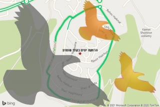 מרחיק יונים בקרני שומרון - הרחקת יונים בקרני שומרון