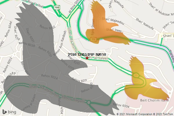 הרחקת יונים במרכז הגליל