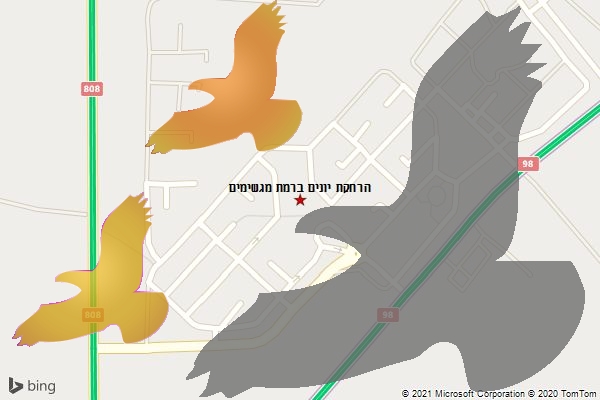 הרחקת יונים ברמת מגשימים