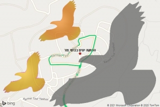 מרחיק יונים בכרמי צור - הרחקת יונים בכרמי צור