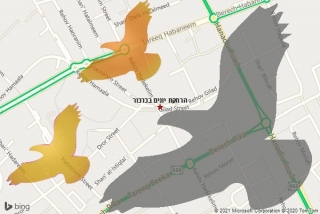  בכרכור - הרחקת יונים בכרכור