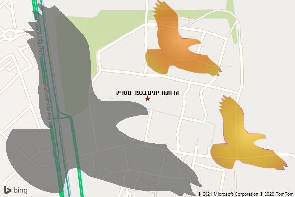 הרחקת יונים בכפר מסריק