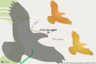 מרחיק יונים בנוה זיו - הרחקת יונים בנוה זיו
