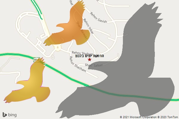 הרחקת יונים בלבון