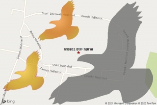מרחיק יונים במשמרת - הרחקת יונים במשמרת