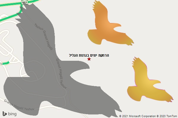 הרחקת יונים בגרנות הגליל