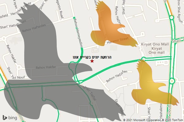 הרחקת יונים בקריית אונו