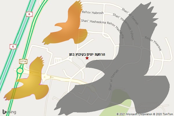 הרחקת יונים בקיבוץ בחן