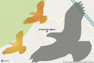 מרחיק יונים בקדרים - הרחקת יונים בקדרים