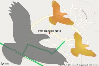 מרחיק יונים בקיבוץ חולדה - הרחקת יונים בקיבוץ חולדה