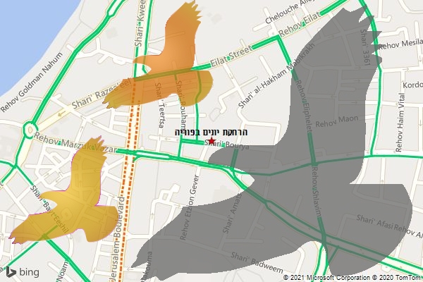הרחקת יונים בפוריה