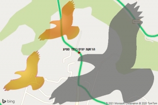 מרחיק יונים בכפר סמיע - הרחקת יונים בכפר סמיע