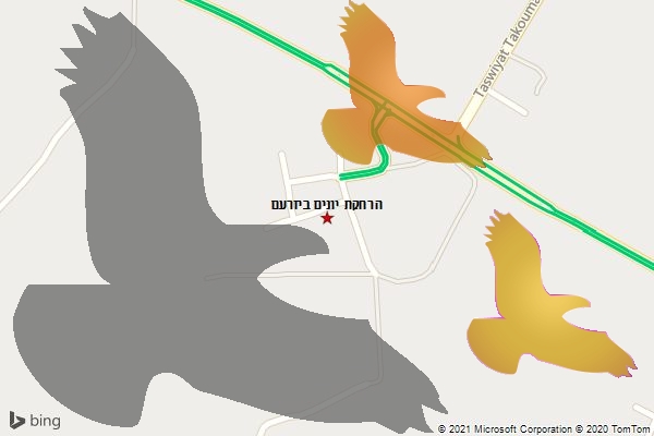 הרחקת יונים ביזרעם