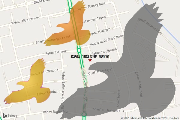 הרחקת יונים באור עקיבא