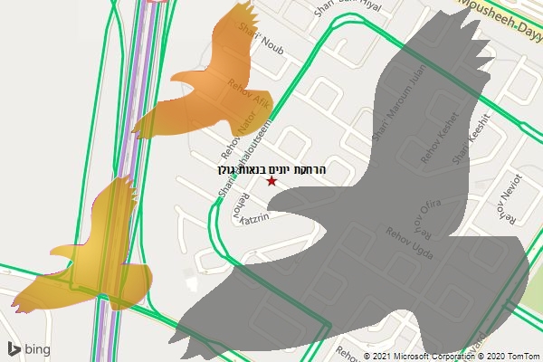 הרחקת יונים בנאות גולן