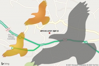 מרחיק יונים בחורפיש - הרחקת יונים בחורפיש
