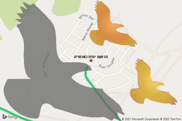 הרחקת יונים בשומריה