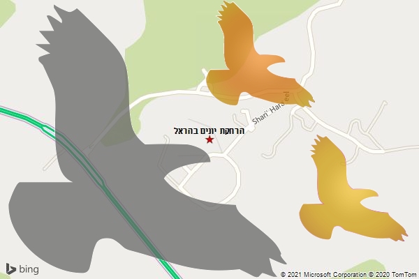 הרחקת יונים בהראל
