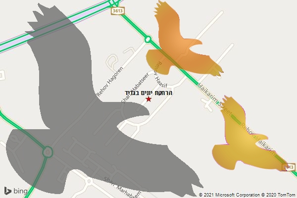 הרחקת יונים בגדיד