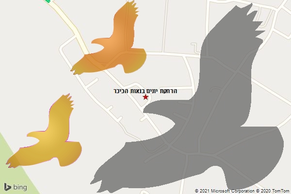 הרחקת יונים בנאות הכיכר
