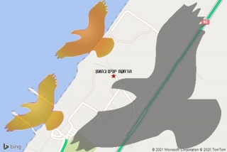 מרחיק יונים בהאון - הרחקת יונים בהאון