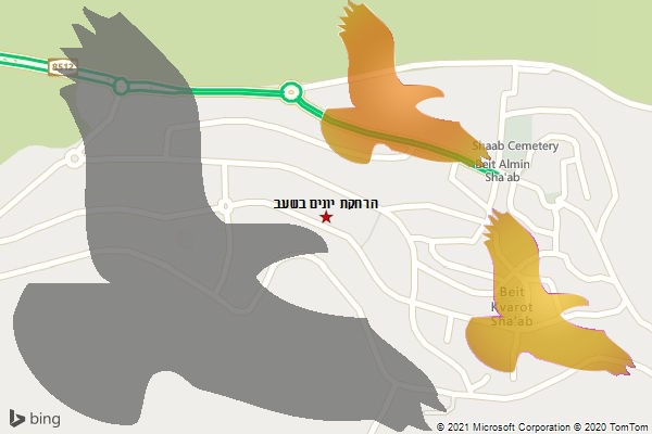 הרחקת יונים בשעב