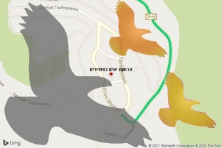 מרחיק יונים בצפרירים - הרחקת יונים בצפרירים