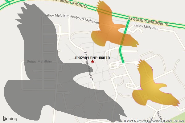 הרחקת יונים במפלסים