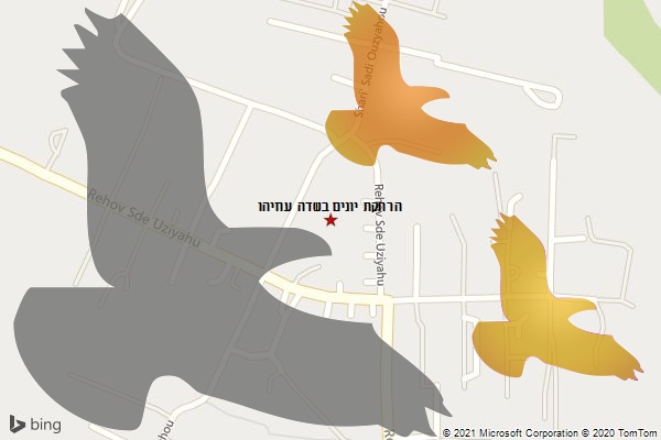 הרחקת יונים בשדה עוזיהו