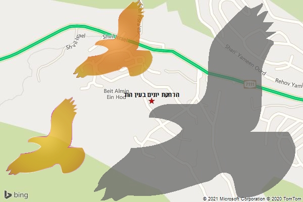 הרחקת יונים בעין הוד
