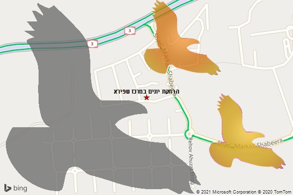 הרחקת יונים במרכז שפירא