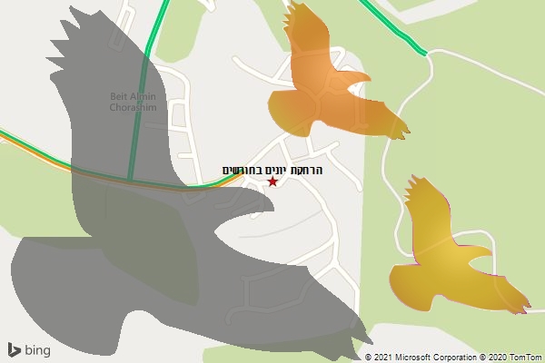 הרחקת יונים בחורשים