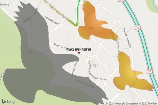 מרחיק יונים ביגור - הרחקת יונים ביגור