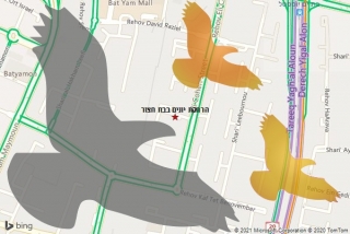 מרחיק יונים בבת חצור - הרחקת יונים בבת חצור