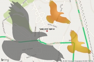 מרחיק יונים בשקף - הרחקת יונים בשקף