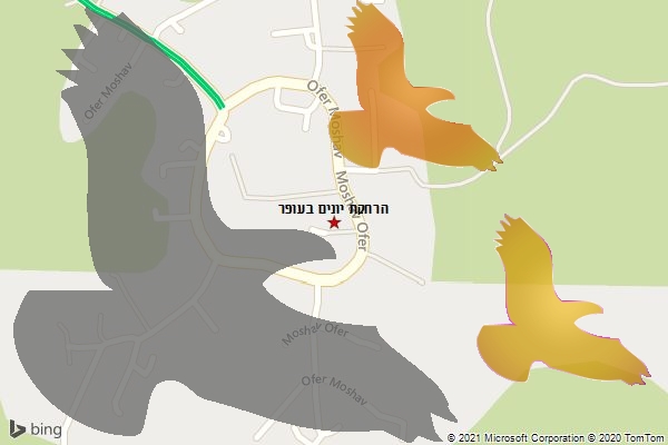 הרחקת יונים בעופר