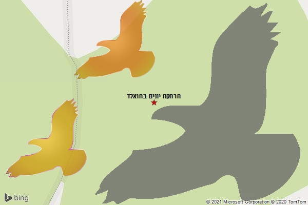 הרחקת יונים בחואלד