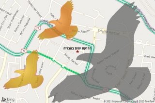 מרחיק יונים בטבריה - הרחקת יונים בטבריה