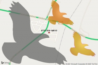 מרחיק יונים בורדון - הרחקת יונים בורדון